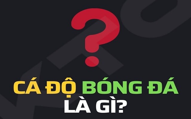 Ca Do Bong Da La Gi 1