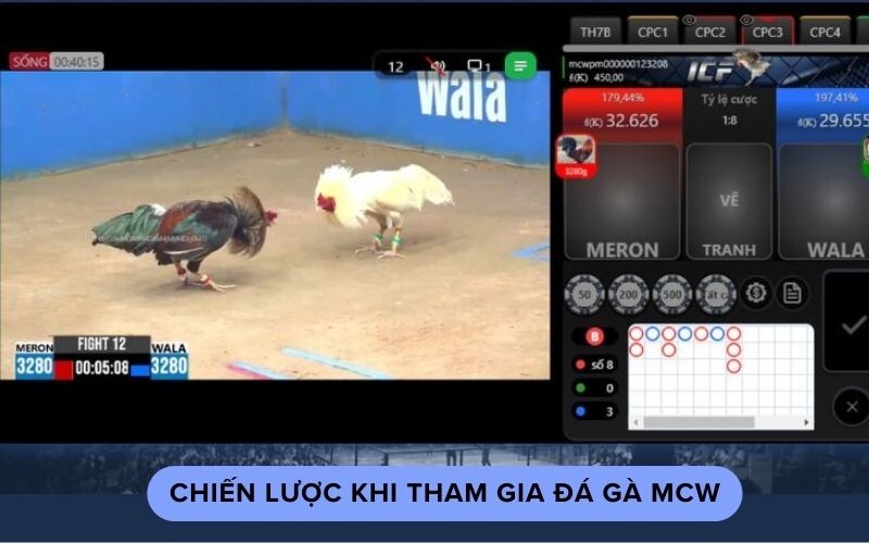 Chiến lược khi tham gia đá gà mcw