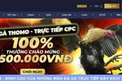 MCW – Đỉnh Cao Của Những Màn Đá Gà Trực Tiếp Đầy Kịch Tính