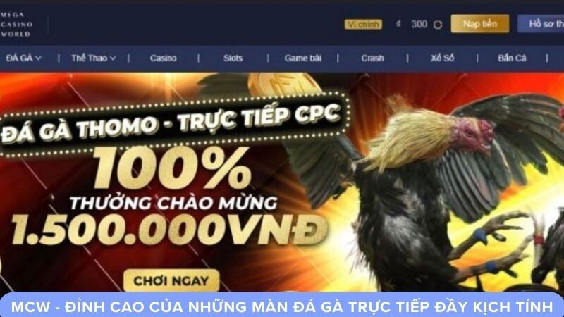 Giới thiệu về nhà cái MCW