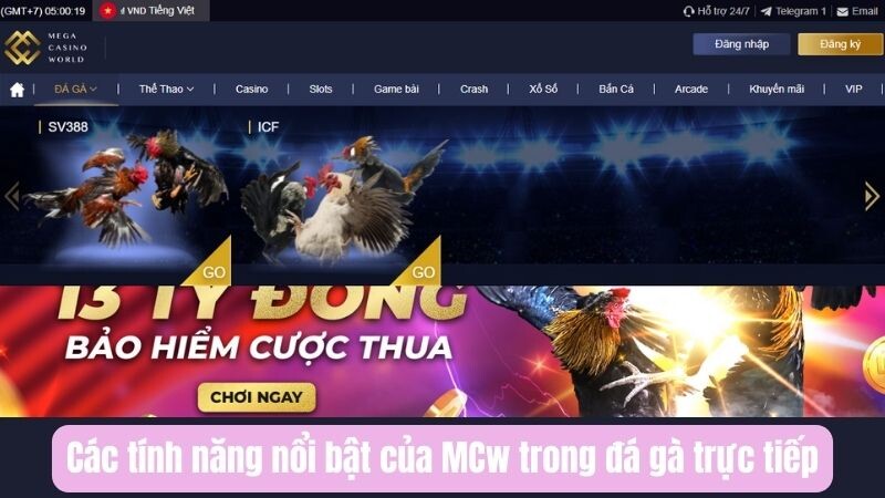 Các tính năng nổi bật của MCw trong đá gà trực tiếp