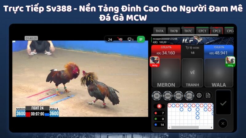 Giải mã trực tiếp sv388 cho người chơi đá gà MCW mới