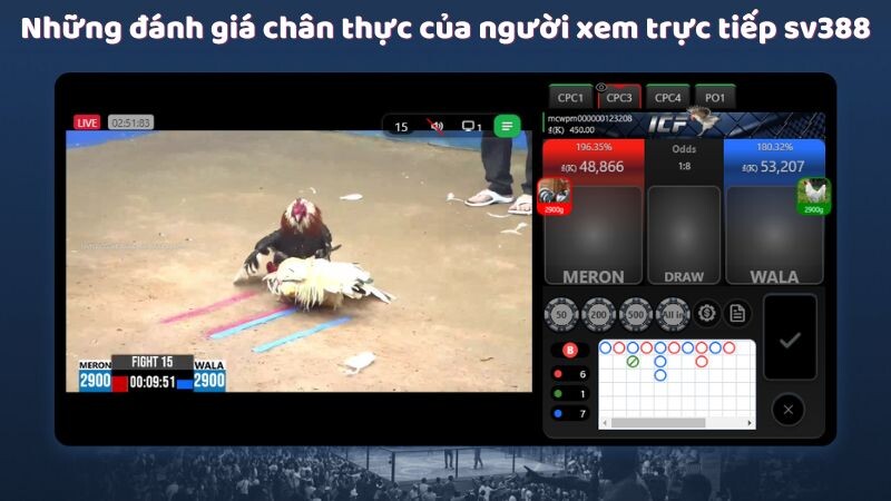 Những đánh giá chân thực của người xem trực tiếp sv388