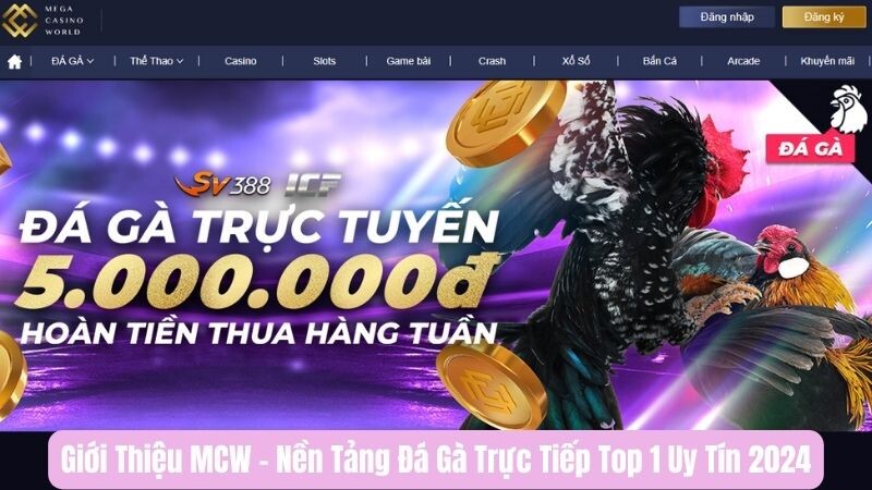 MCW - Nền tảng đá gà trực tiếp hàng đầu 2024